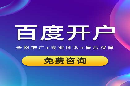 SEM服务托管实战案例分析报告